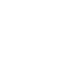 check icon