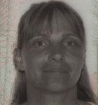 विज़िटर की इमेज